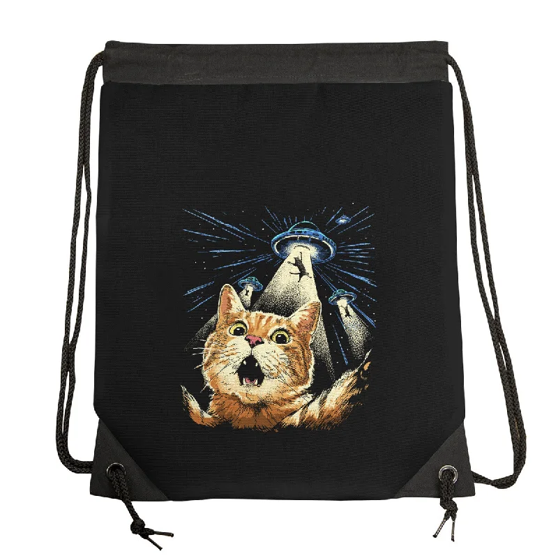 Elegant Style The Purrr-fect Abduction