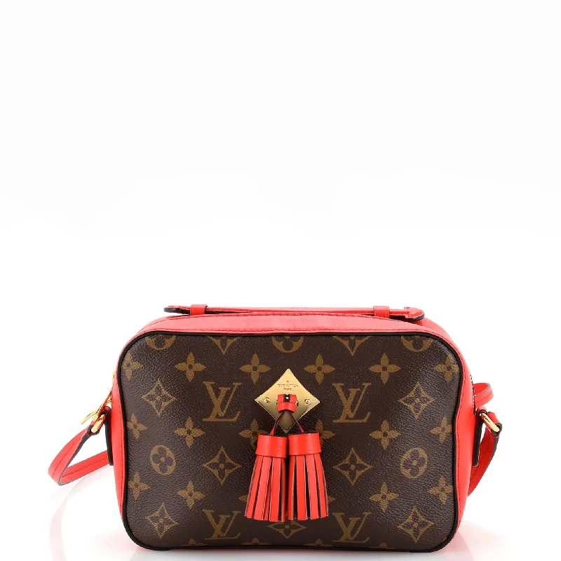 Luxurious But Budget-Friendly Bags Saintonge Handbag Monogram Canvas with Leather